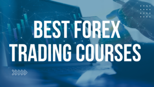 Best Forex Trading Courses